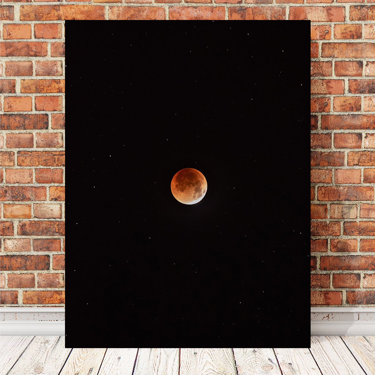 Moon in the Shadow Wall Art
