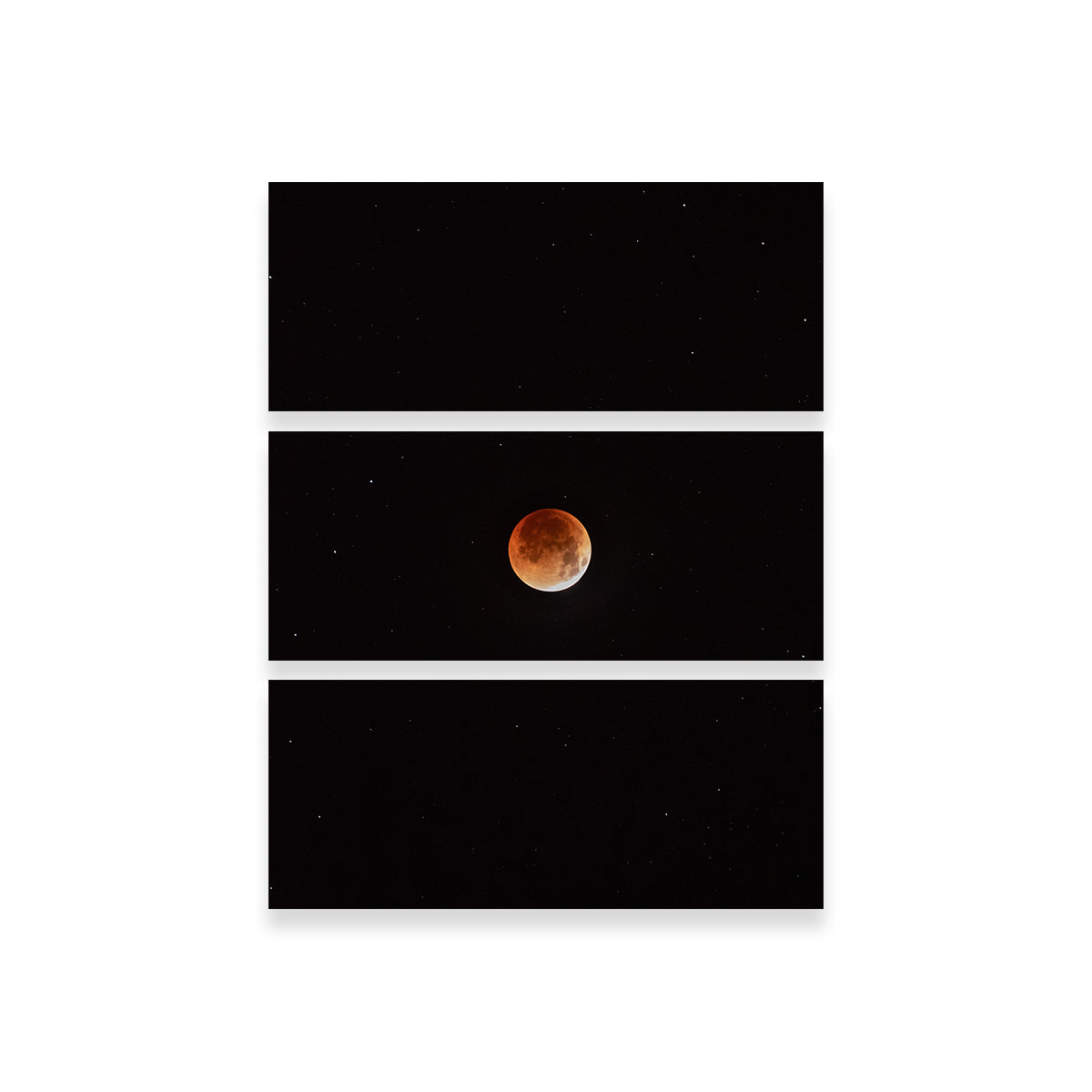 Moon in the Shadow Wall Art