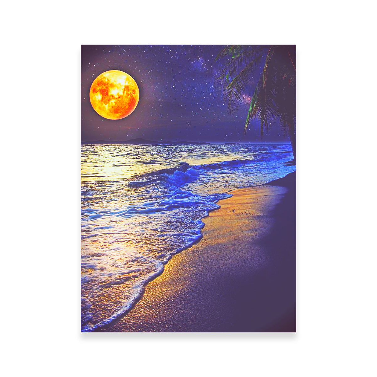 Moonlight Oceanview