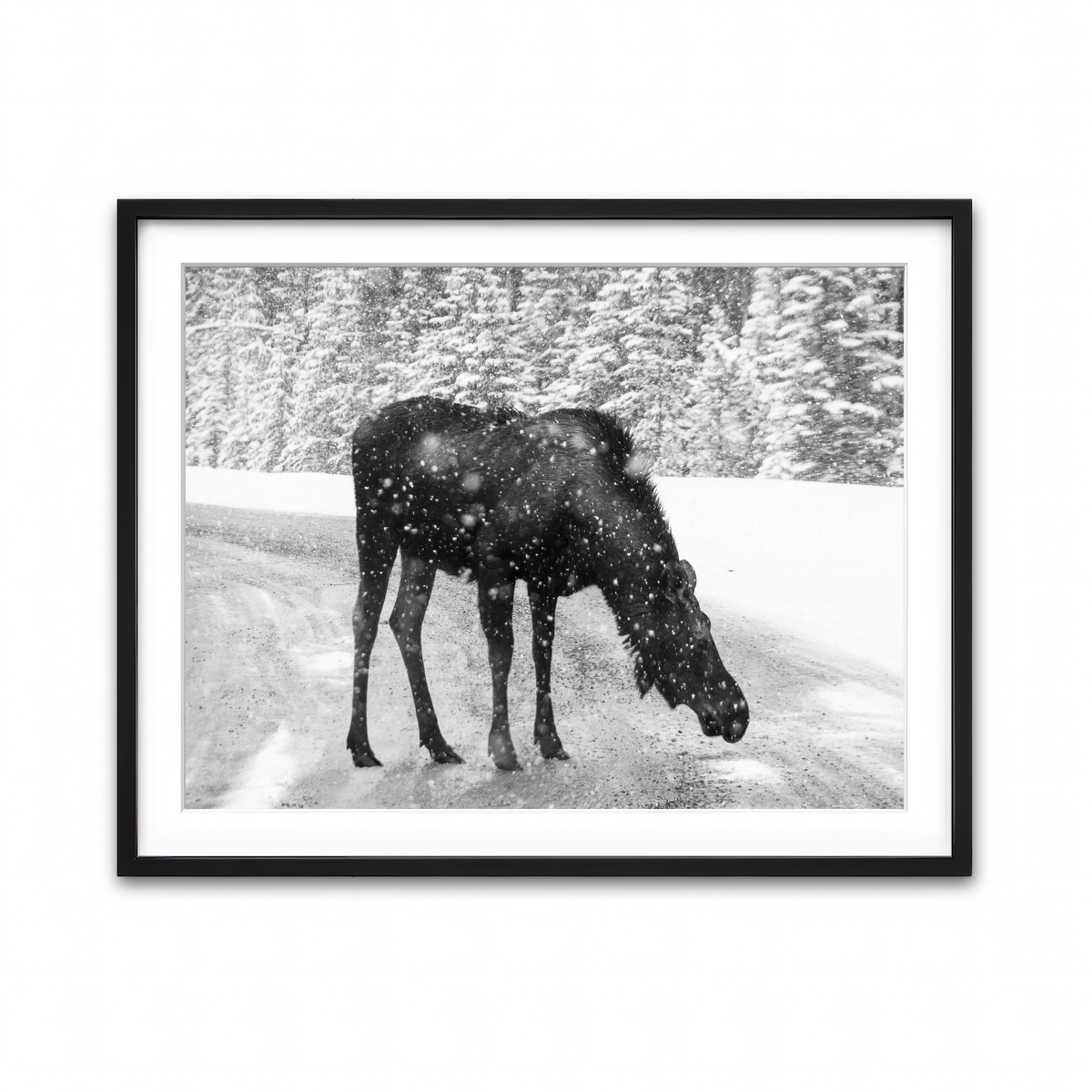 Framed Print 4x3 Black