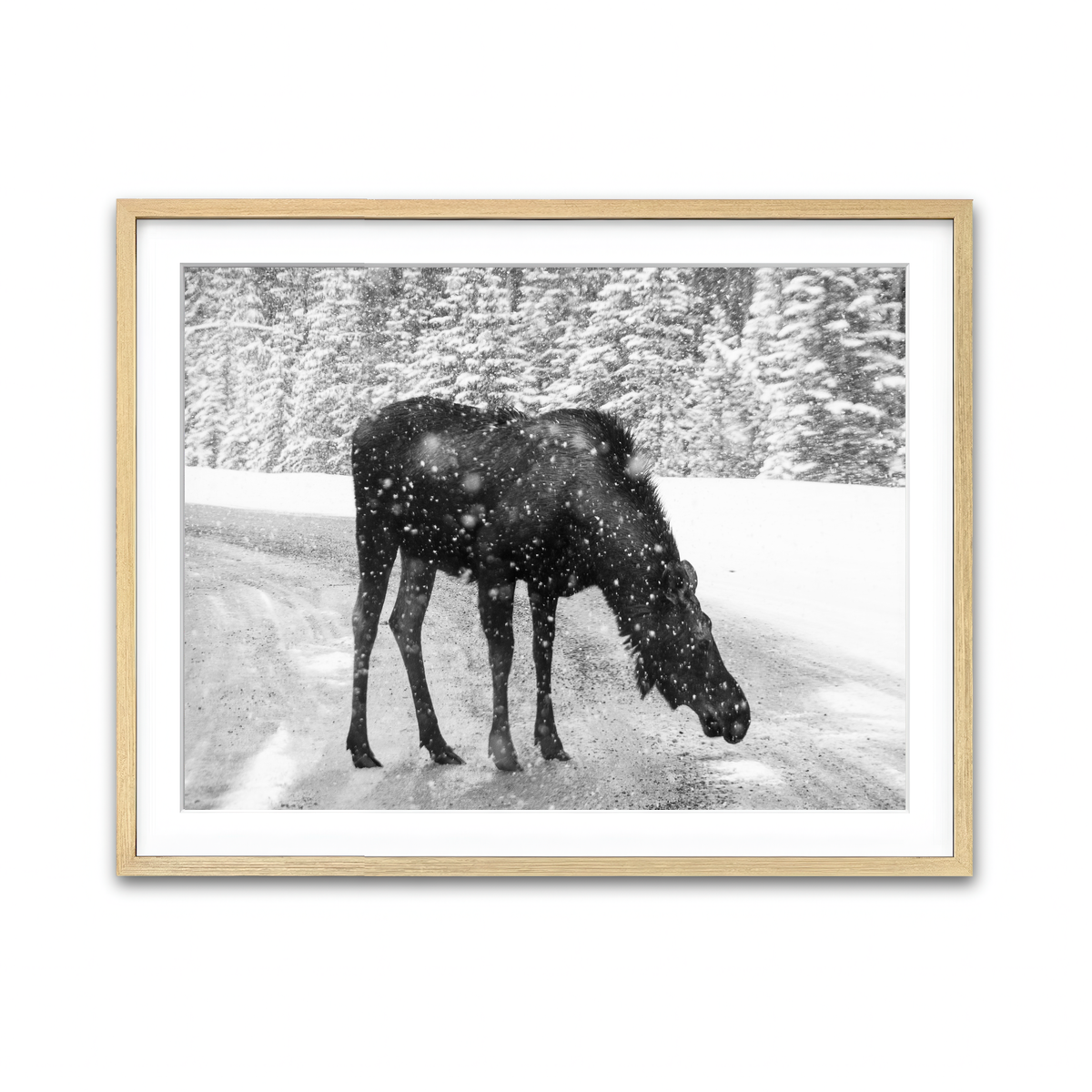 Framed Print 4x3 Natural