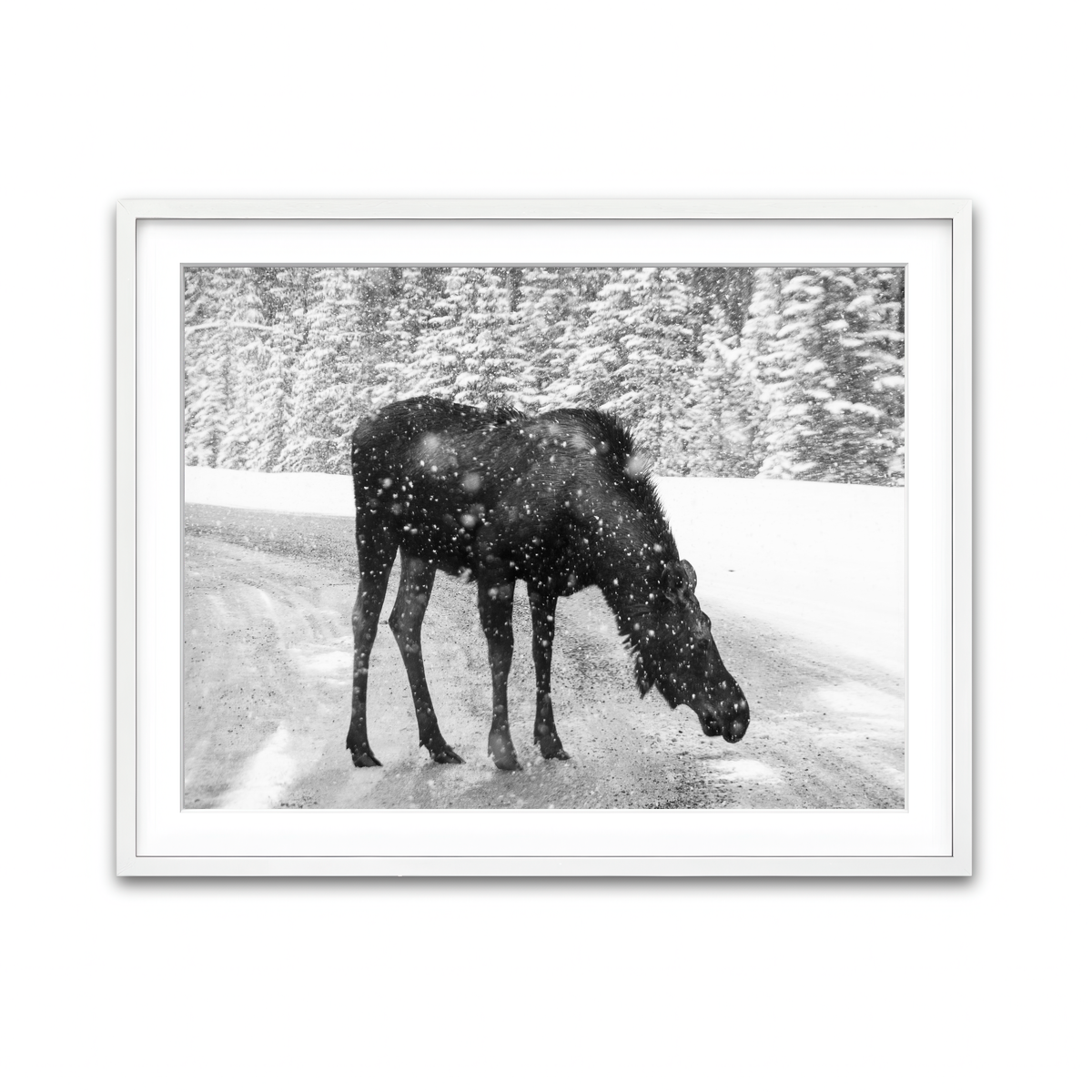 Framed Print 4x3 White