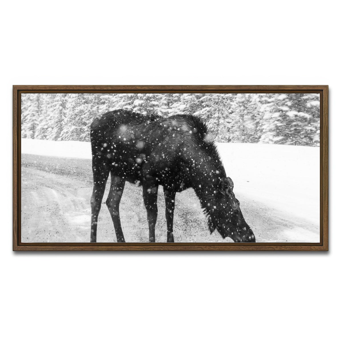 AUTO-MOCKUP WHITE | Moose | 1 Piece | Walnut Framed Canvas | group=2x1