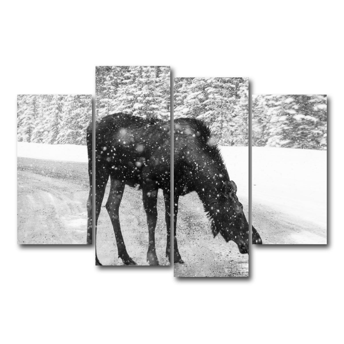 AUTO-MOCKUP WHITE | Moose | 4 Piece | Gallery Wrap Canvas | group=4_short