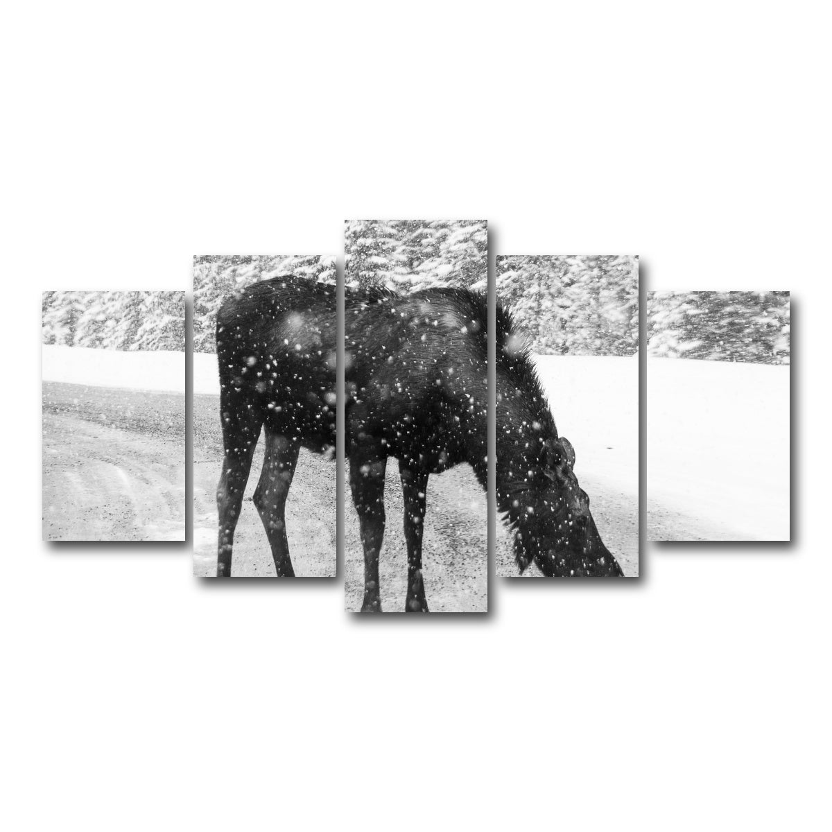 AUTO-MOCKUP WHITE | Moose | 5 Piece | Gallery Wrap Canvas | group=5_normal