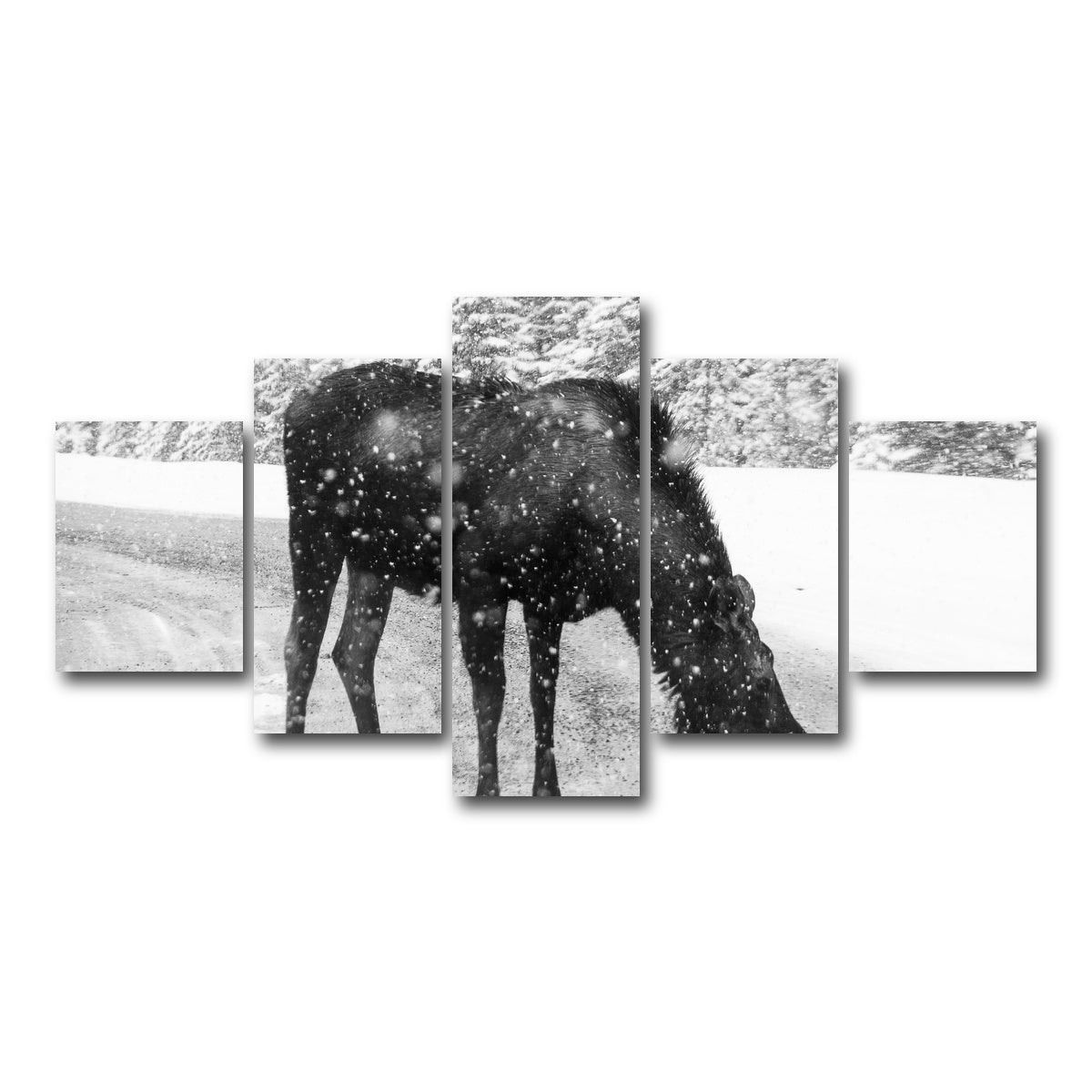 AUTO-MOCKUP WHITE | Moose | 5 Piece | Gallery Wrap Canvas | group=5_short