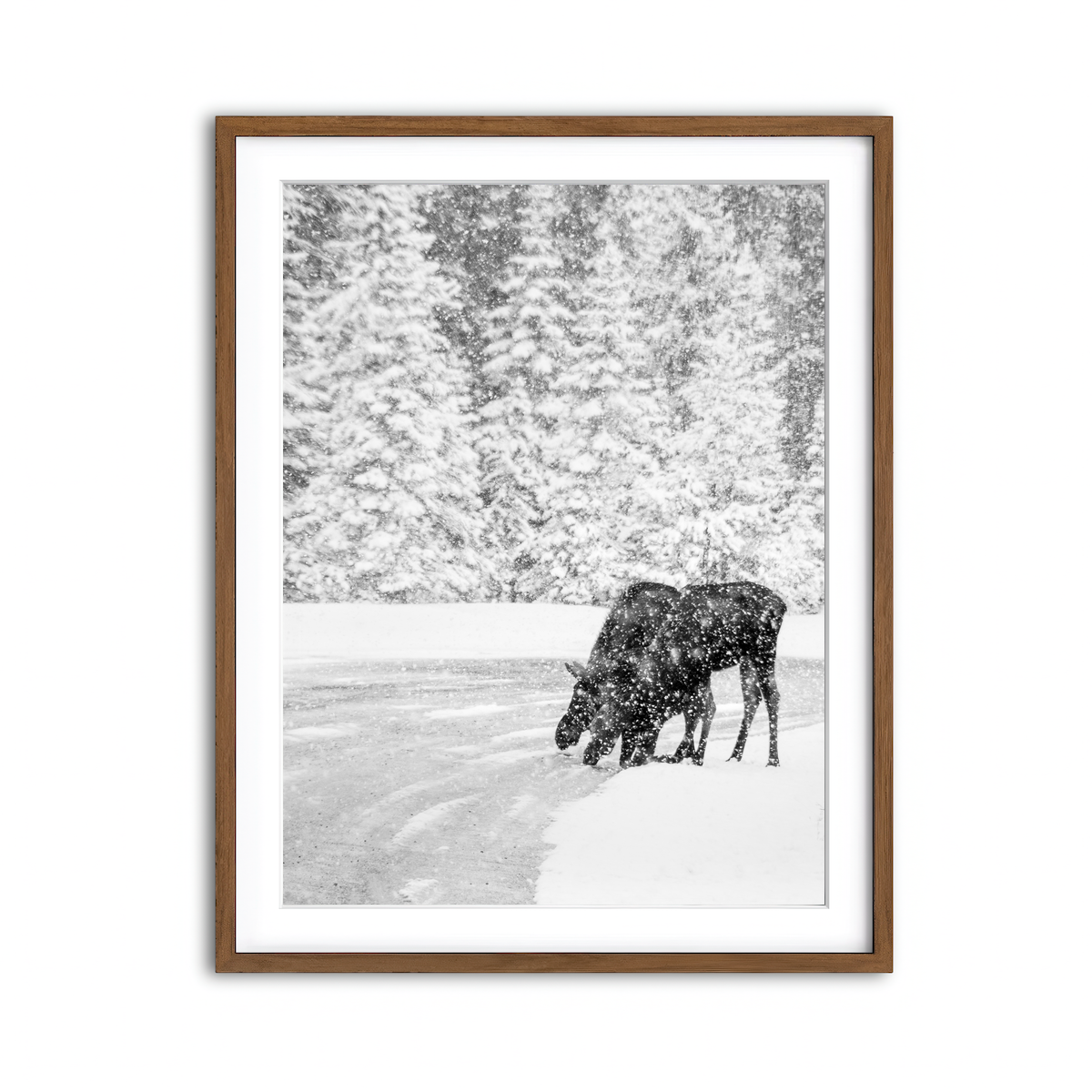 Framed Print 3x4 Walnut