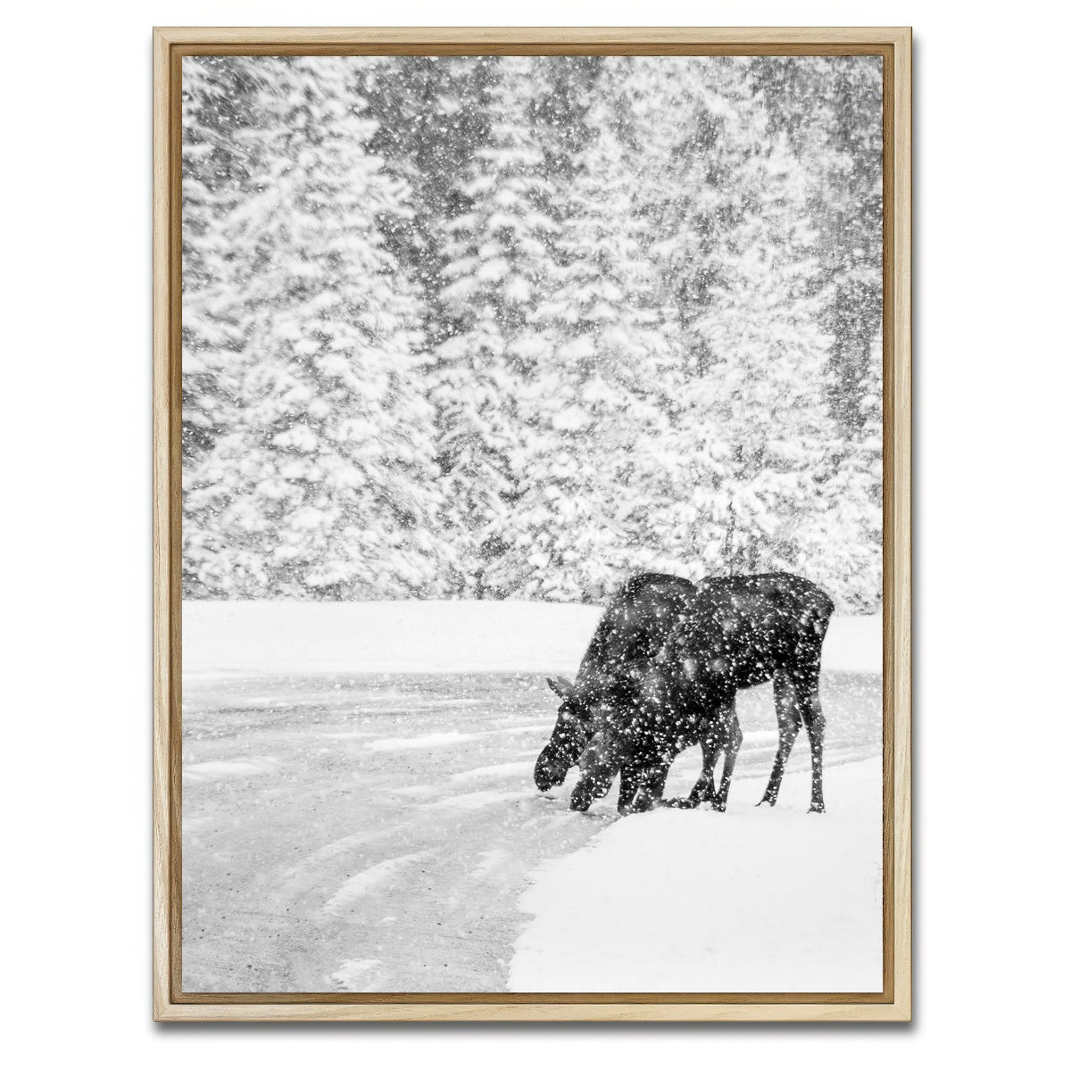 AUTO-MOCKUP WHITE | Mooses | 1 Piece | Natural Framed Canvas | group=3x4
