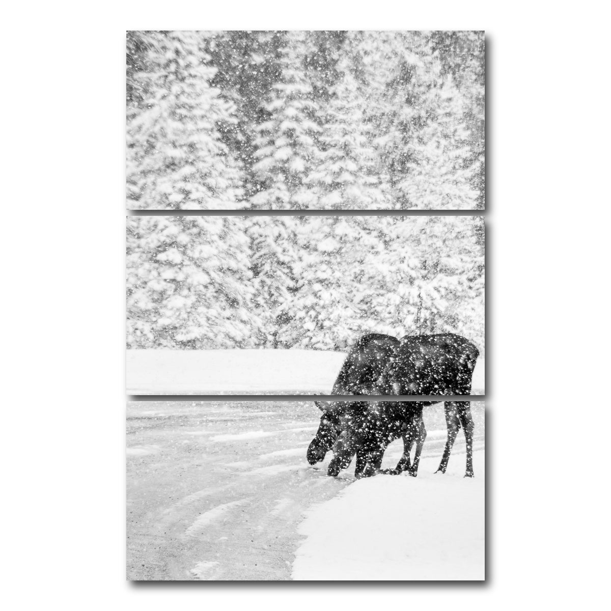 AUTO-MOCKUP WHITE | Mooses | 3 Piece | Gallery Wrap Canvas | group=12x24_stacked