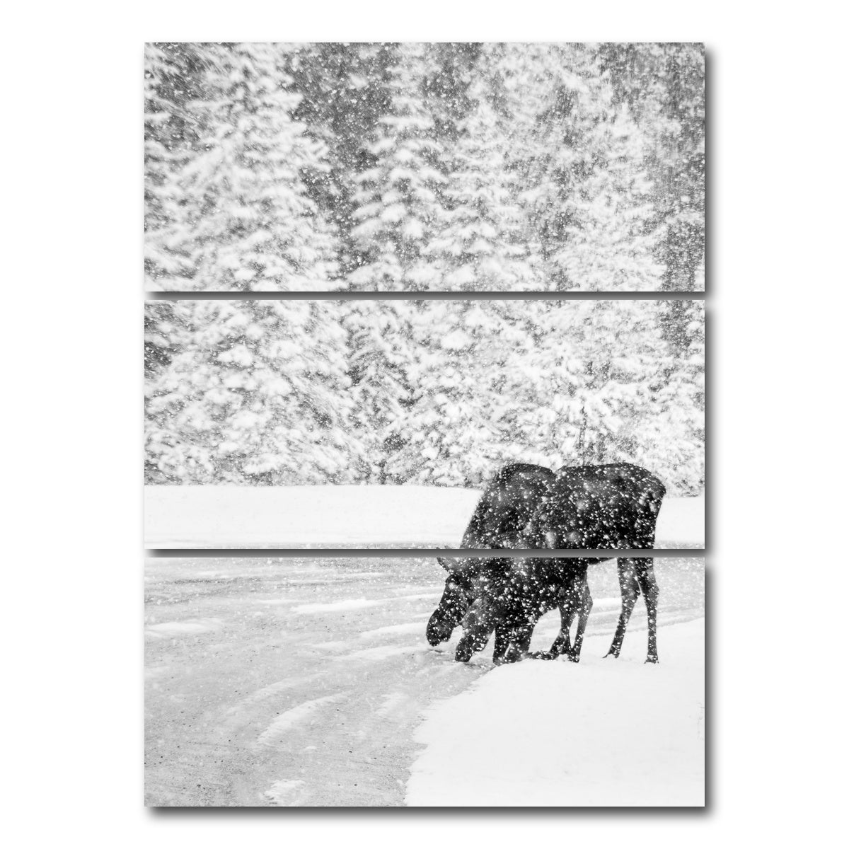 AUTO-MOCKUP WHITE | Mooses | 3 Piece | Gallery Wrap Canvas | group=8x18_stacked