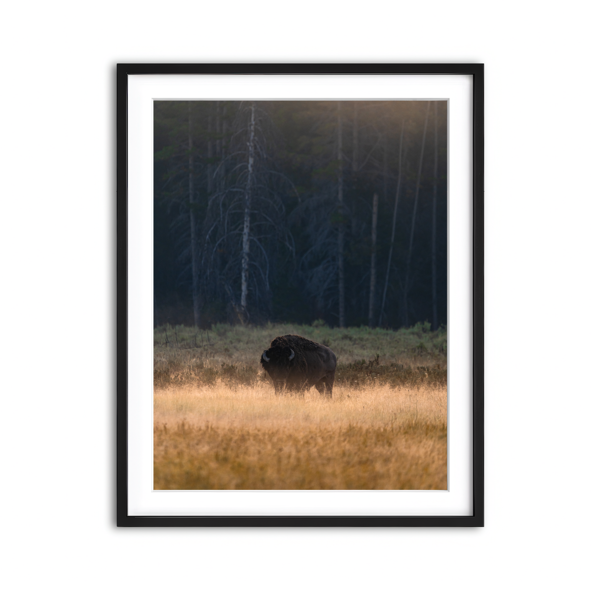 Framed Print 3x4 Black