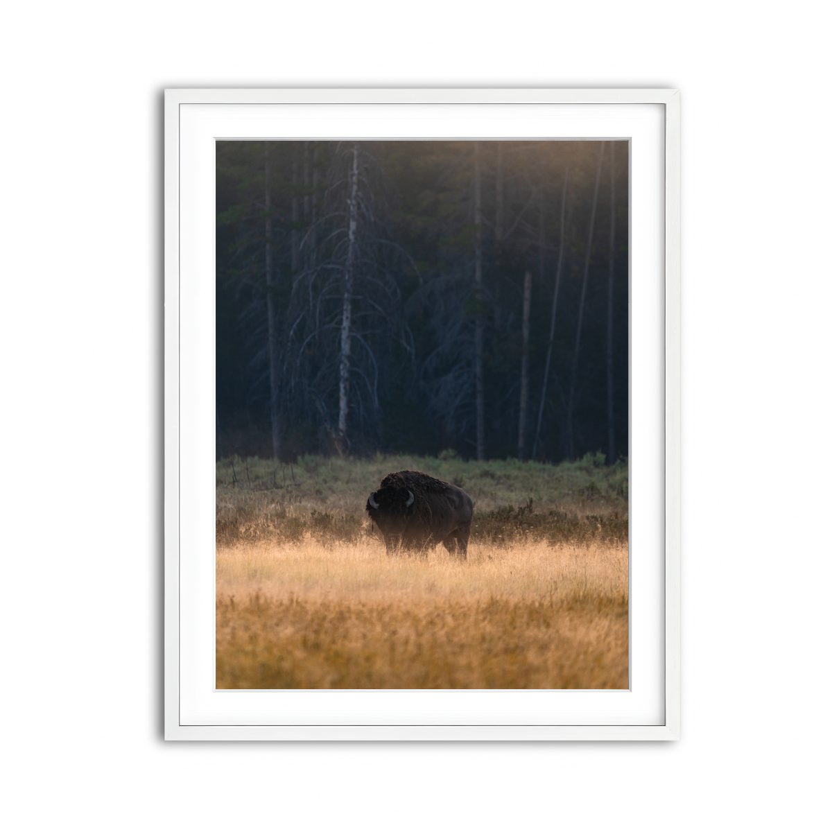 Framed Print 3x4 White