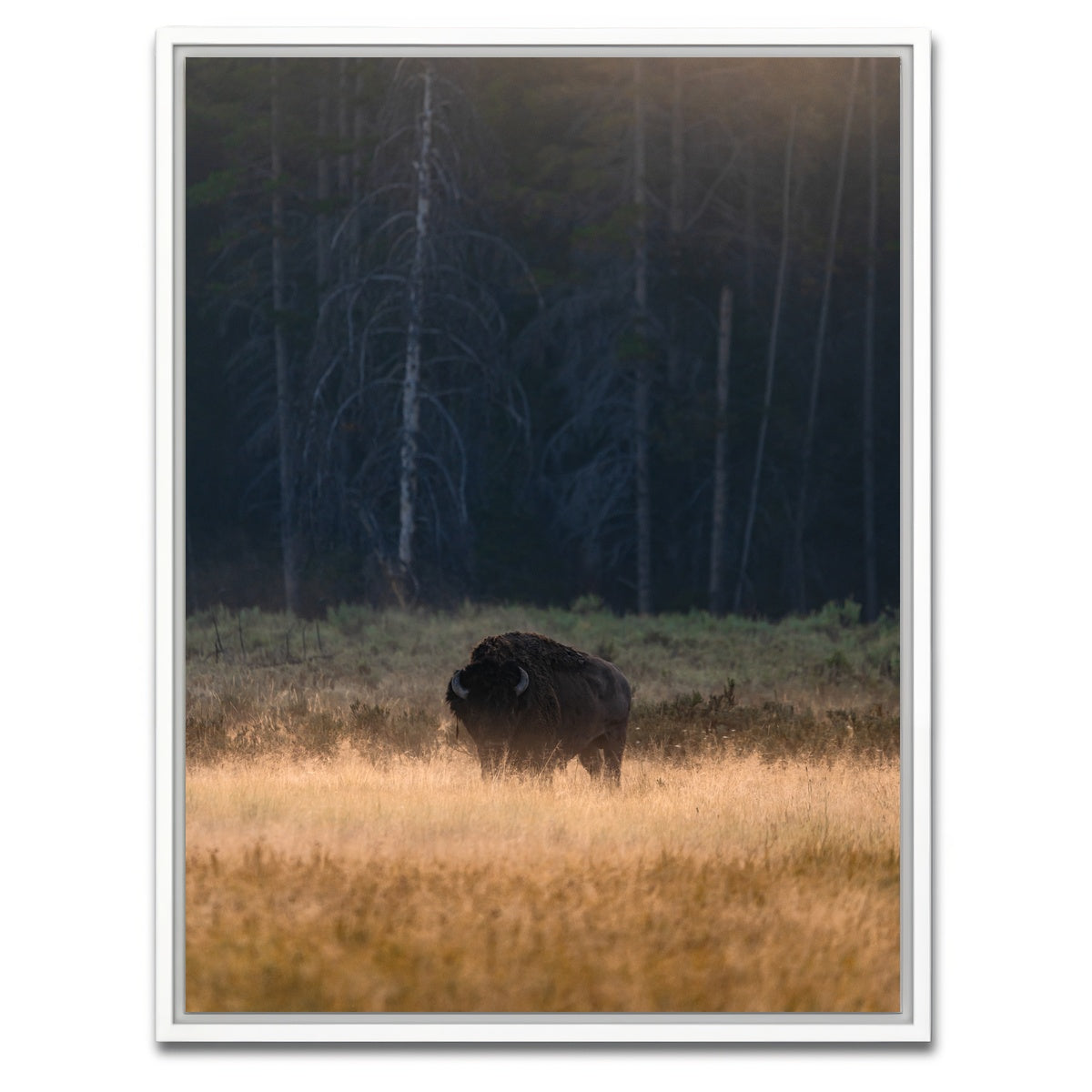 AUTO-MOCKUP WHITE | Morning Graze | 1 Piece | White Framed Canvas | group=3x4