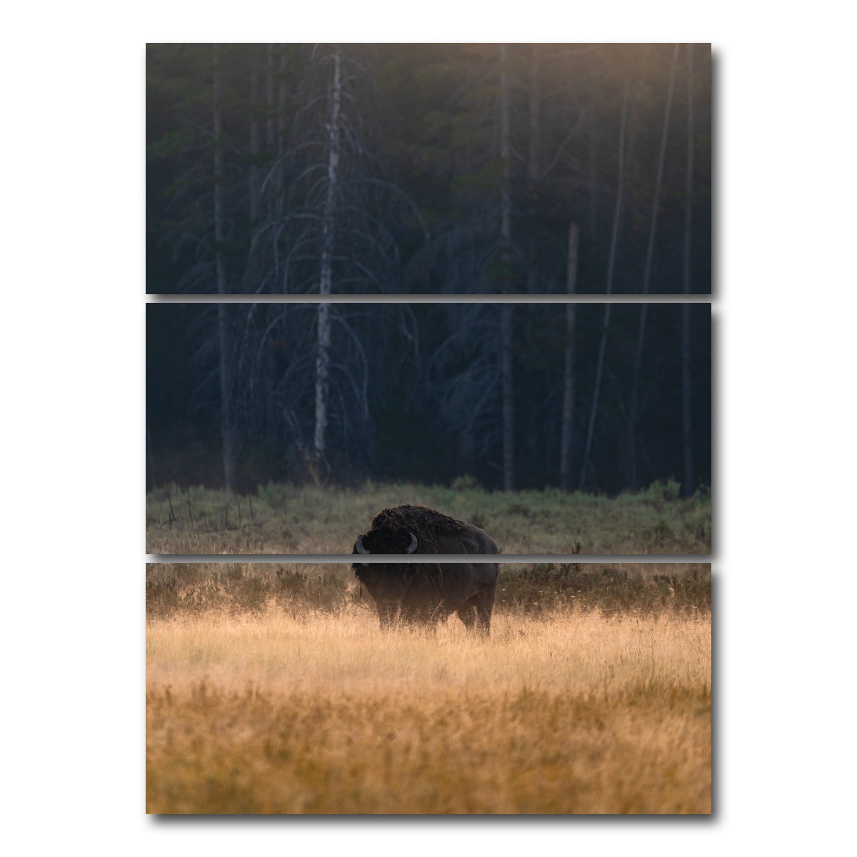 AUTO-MOCKUP WHITE | Morning Graze | 3 Piece | Gallery Wrap Canvas | group=8x18_stacked