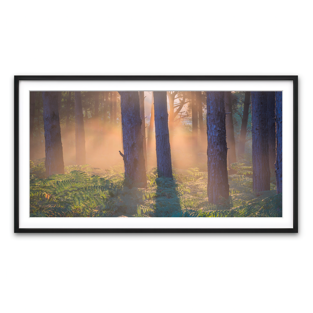 Framed Print 2x1 Black