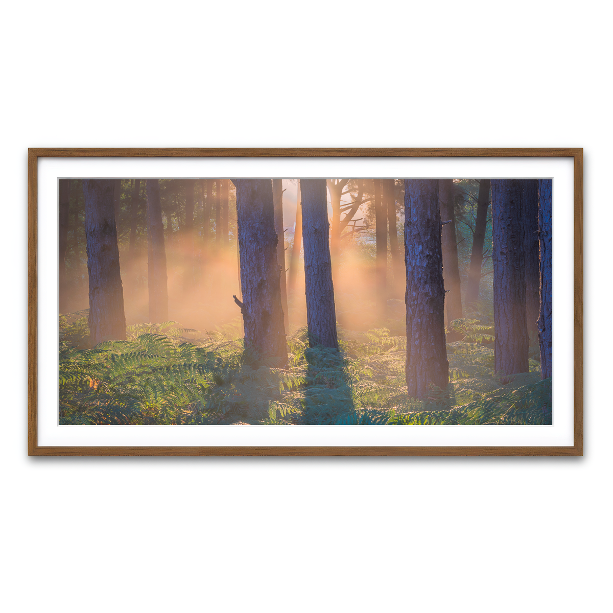 Framed Print 2x1 Walnut