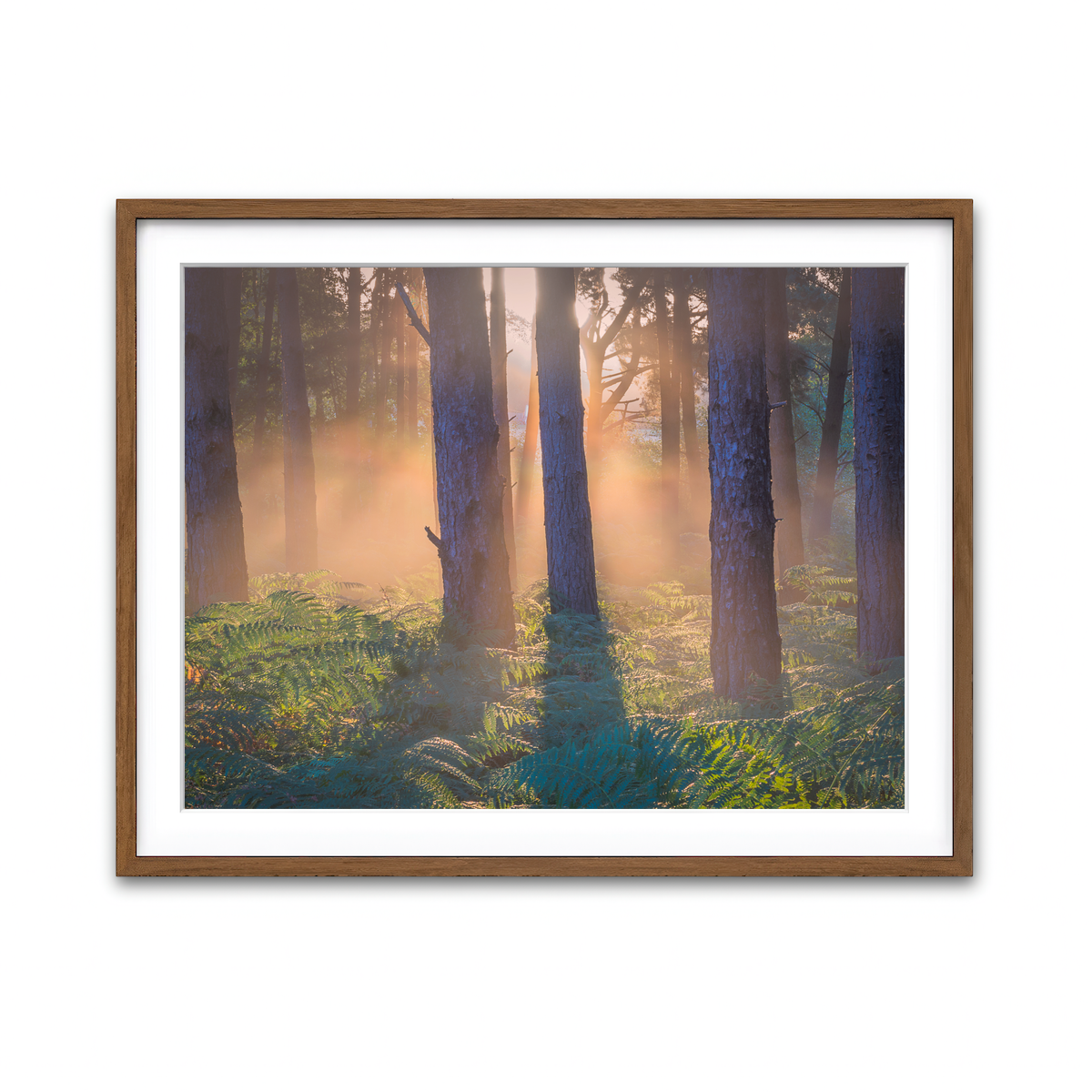 Framed Print 4x3 Walnut