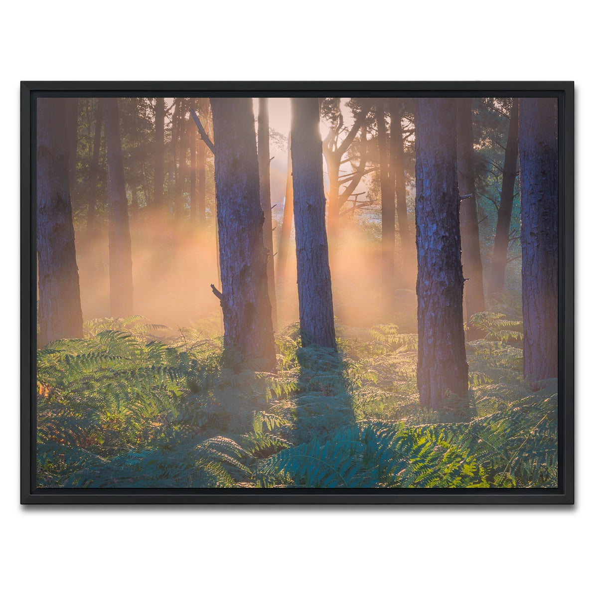AUTO-MOCKUP WHITE | Morning in Reigate heath | 1 Piece | Black Framed Canvas | group=4x3