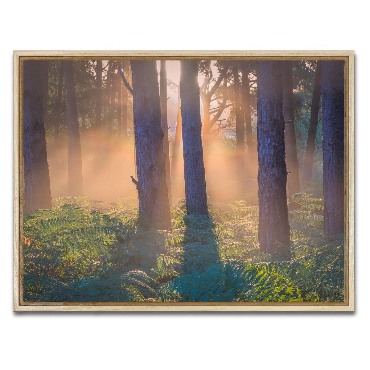 AUTO-MOCKUP WHITE | Morning in Reigate heath | 1 Piece | Natural Framed Canvas | group=4x3