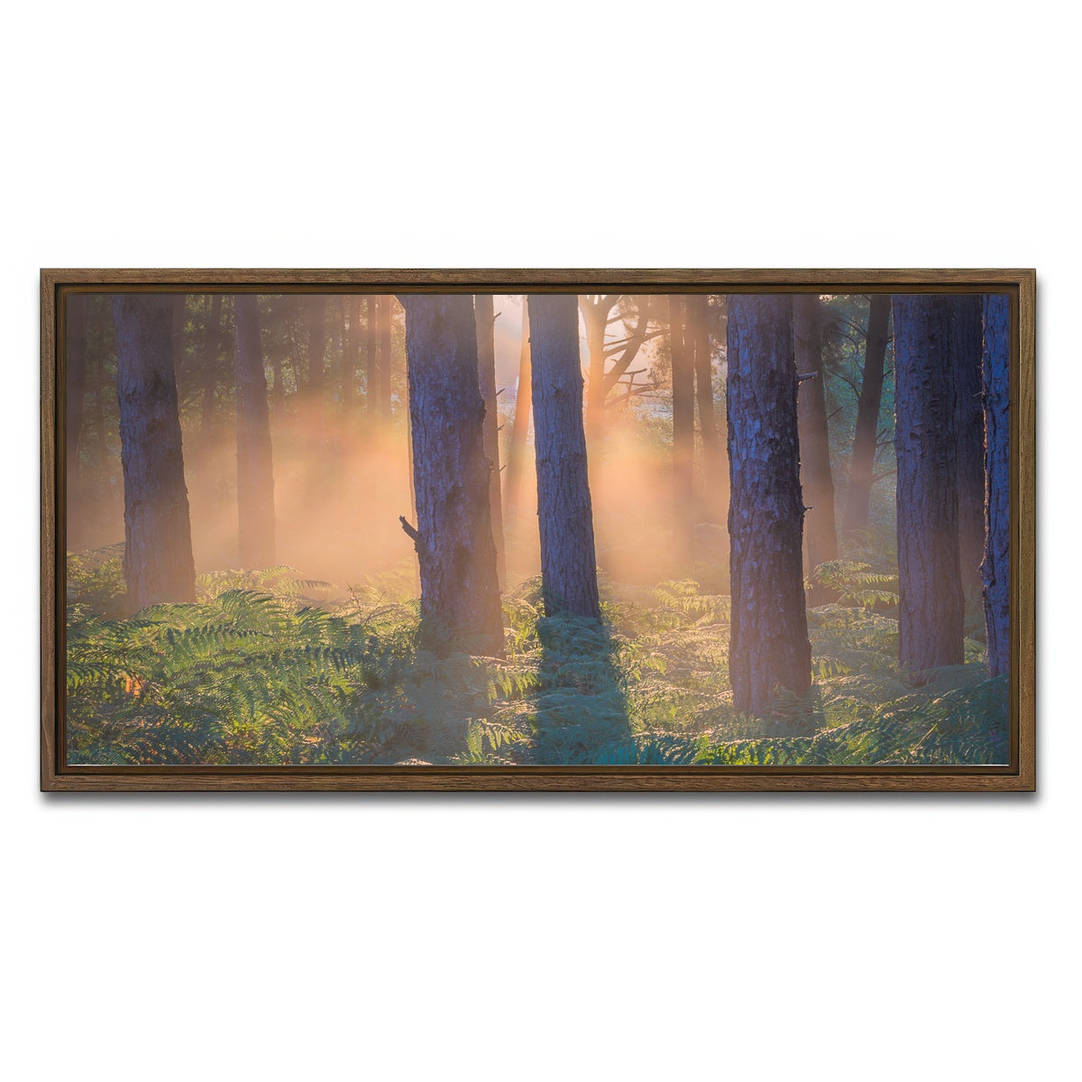 AUTO-MOCKUP WHITE | Morning in Reigate heath | 1 Piece | Walnut Framed Canvas | group=2x1