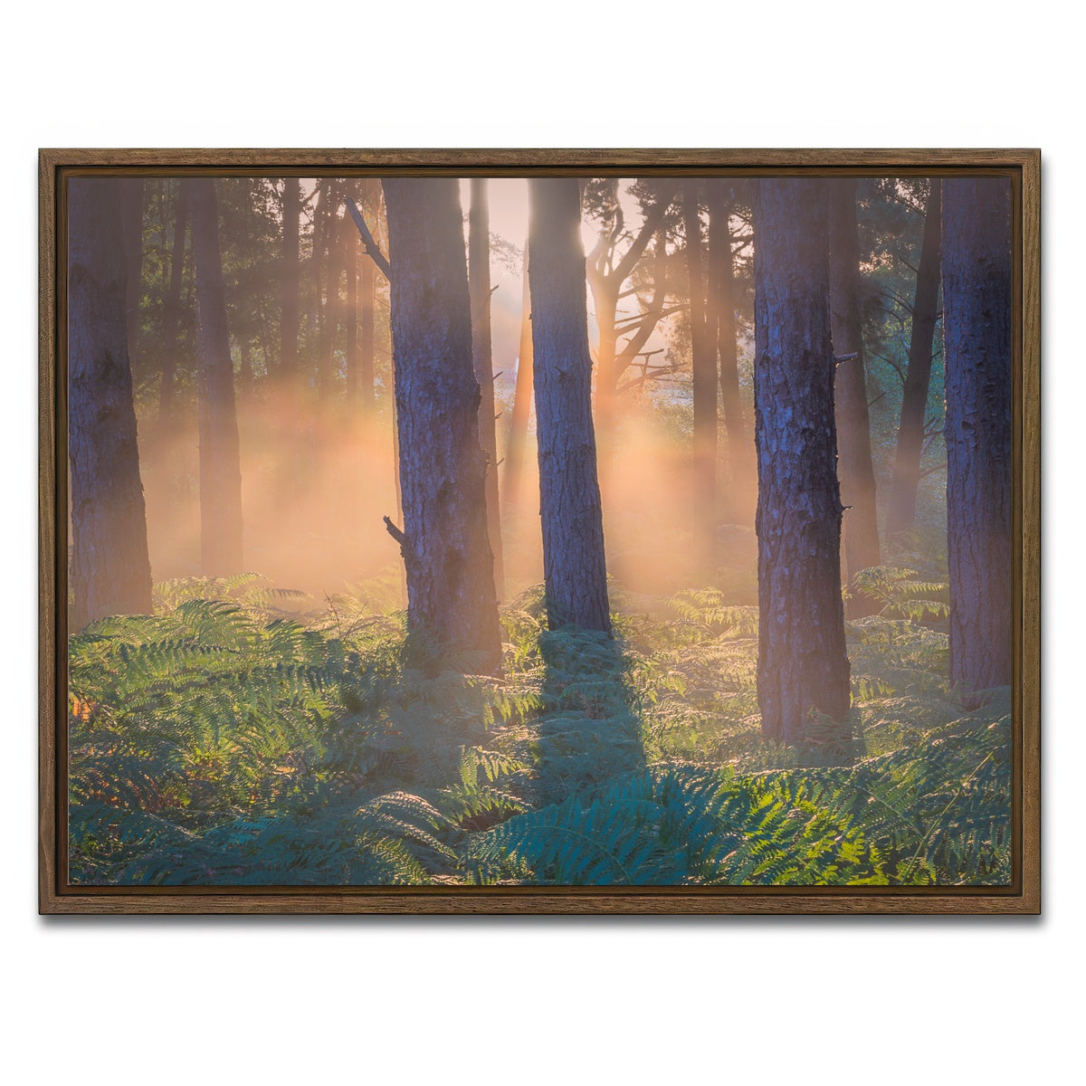 AUTO-MOCKUP WHITE | Morning in Reigate heath | 1 Piece | Walnut Framed Canvas | group=4x3