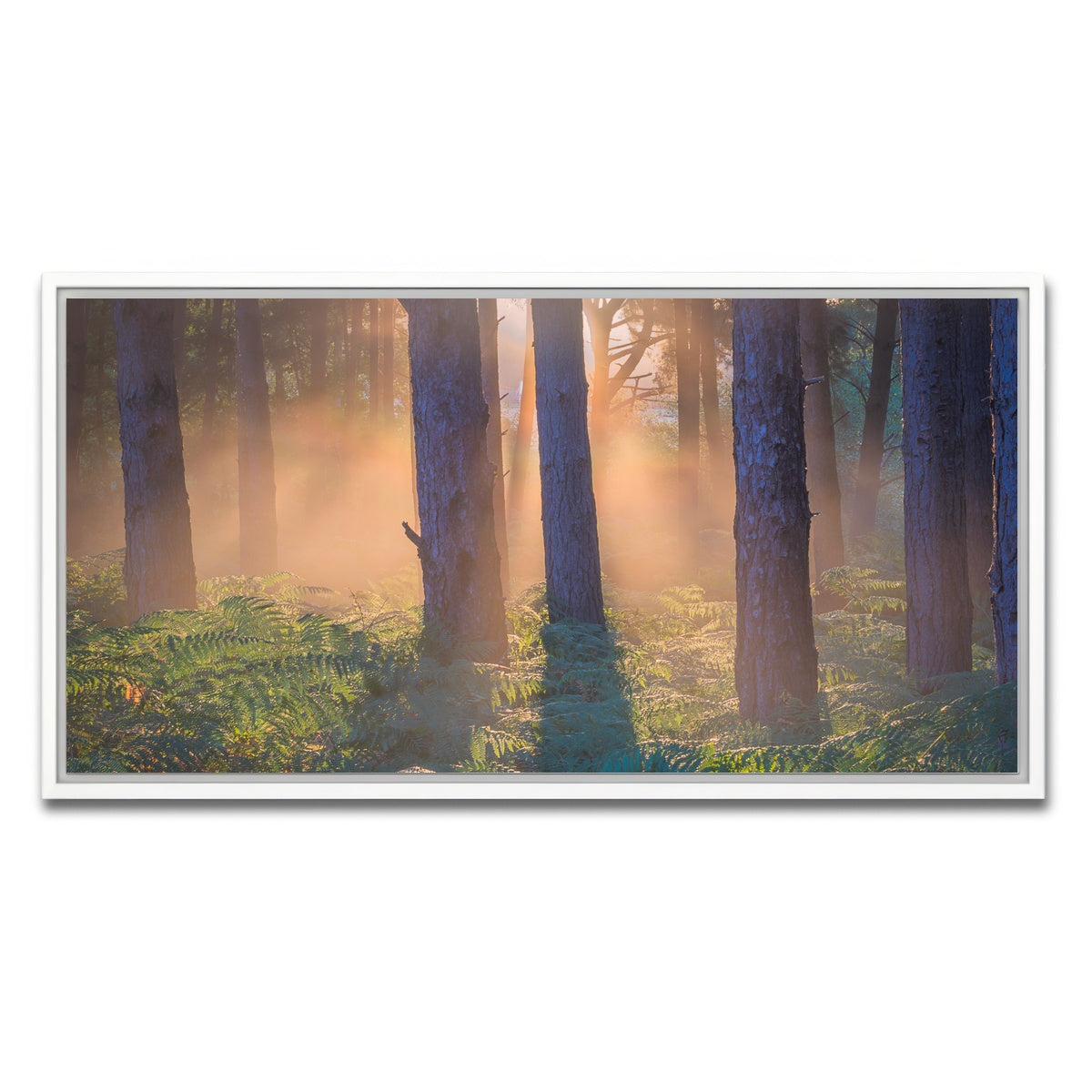 AUTO-MOCKUP WHITE | Morning in Reigate heath | 1 Piece | White Framed Canvas | group=2x1