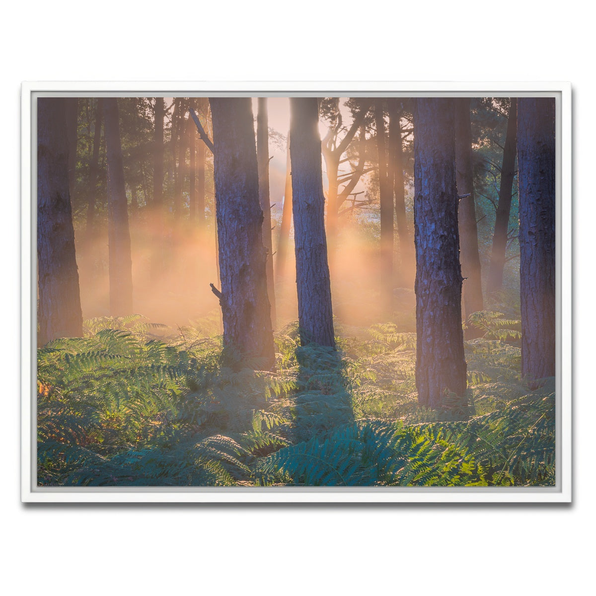 AUTO-MOCKUP WHITE | Morning in Reigate heath | 1 Piece | White Framed Canvas | group=4x3