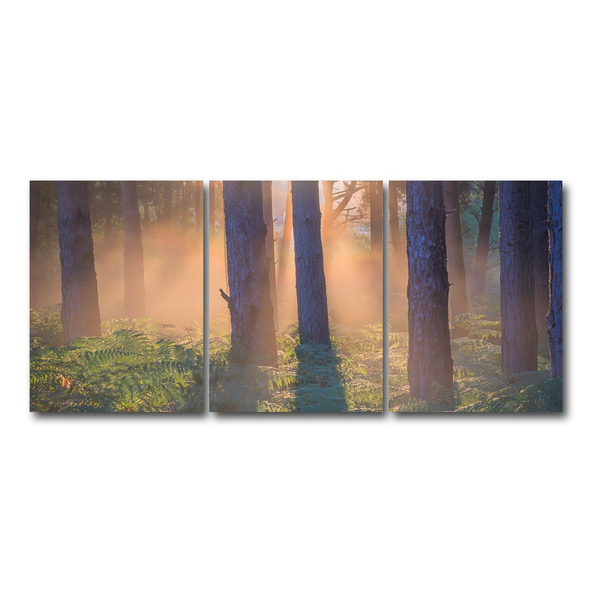 AUTO-MOCKUP WHITE | Morning in Reigate heath | 3 Piece | Gallery Wrap Canvas | group=18x24