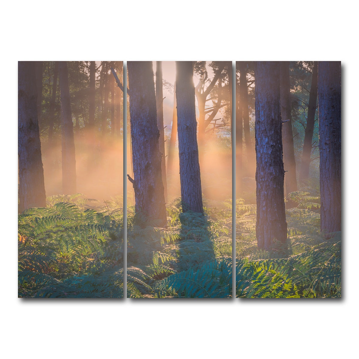 AUTO-MOCKUP WHITE | Morning in Reigate heath | 3 Piece | Gallery Wrap Canvas | group=8x18