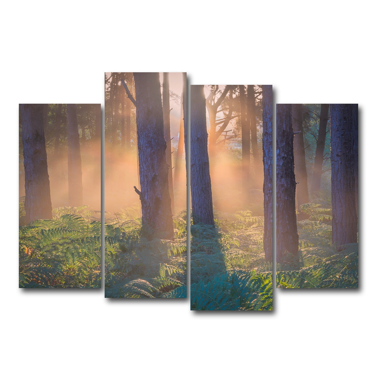AUTO-MOCKUP WHITE | Morning in Reigate heath | 4 Piece | Gallery Wrap Canvas | group=4_normal