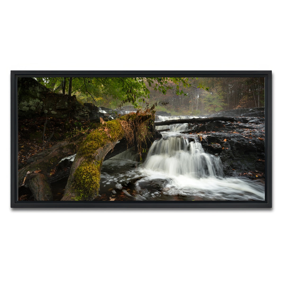 AUTO-MOCKUP WHITE | Mossy Limbs | 1 Piece | Black Framed Canvas | group=2x1