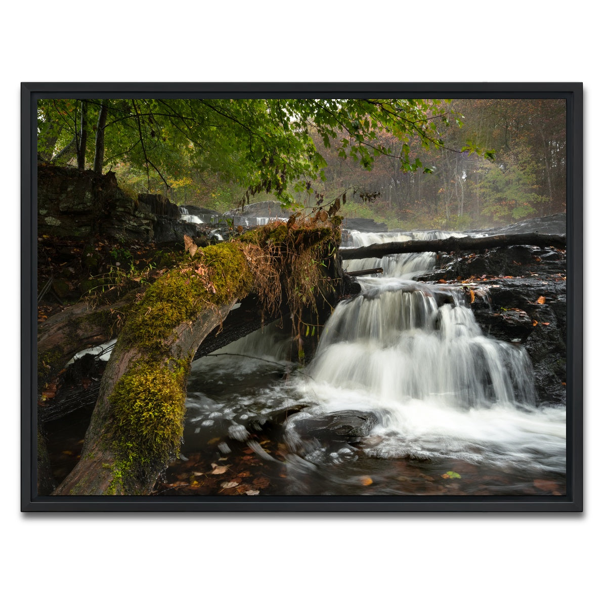AUTO-MOCKUP WHITE | Mossy Limbs | 1 Piece | Black Framed Canvas | group=4x3