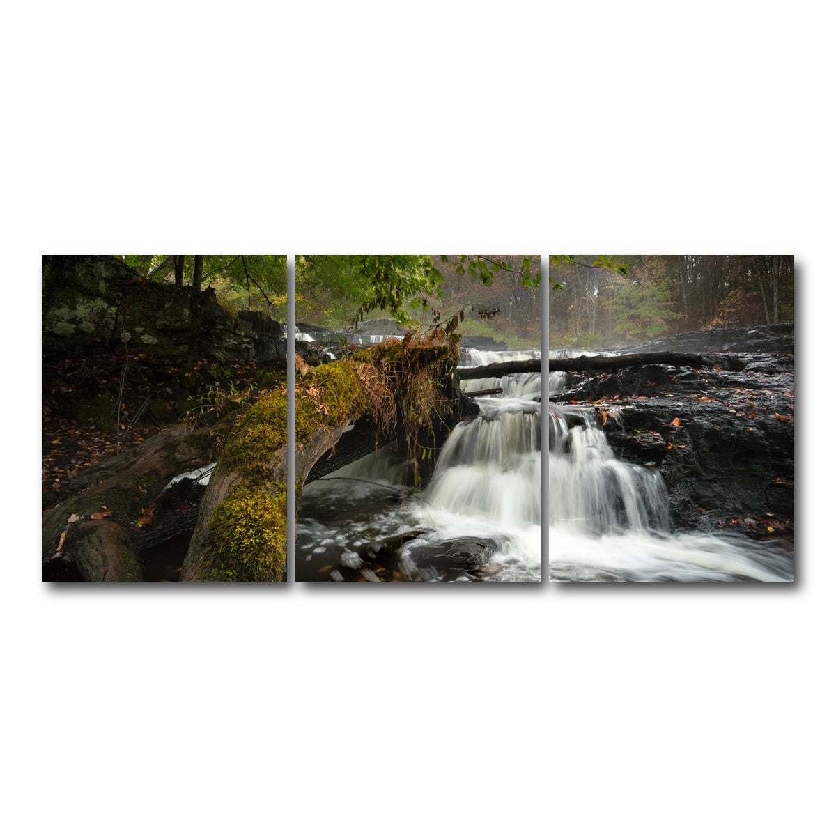 AUTO-MOCKUP WHITE | Mossy Limbs | 3 Piece | Gallery Wrap Canvas | group=18x24