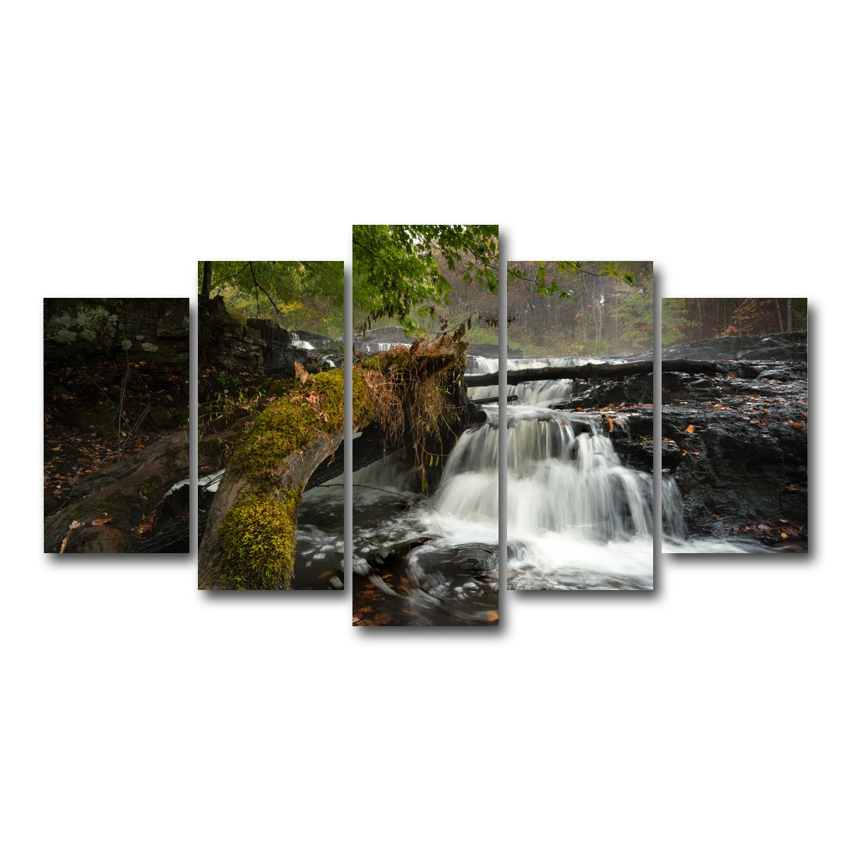 AUTO-MOCKUP WHITE | Mossy Limbs | 5 Piece | Gallery Wrap Canvas | group=5_normal
