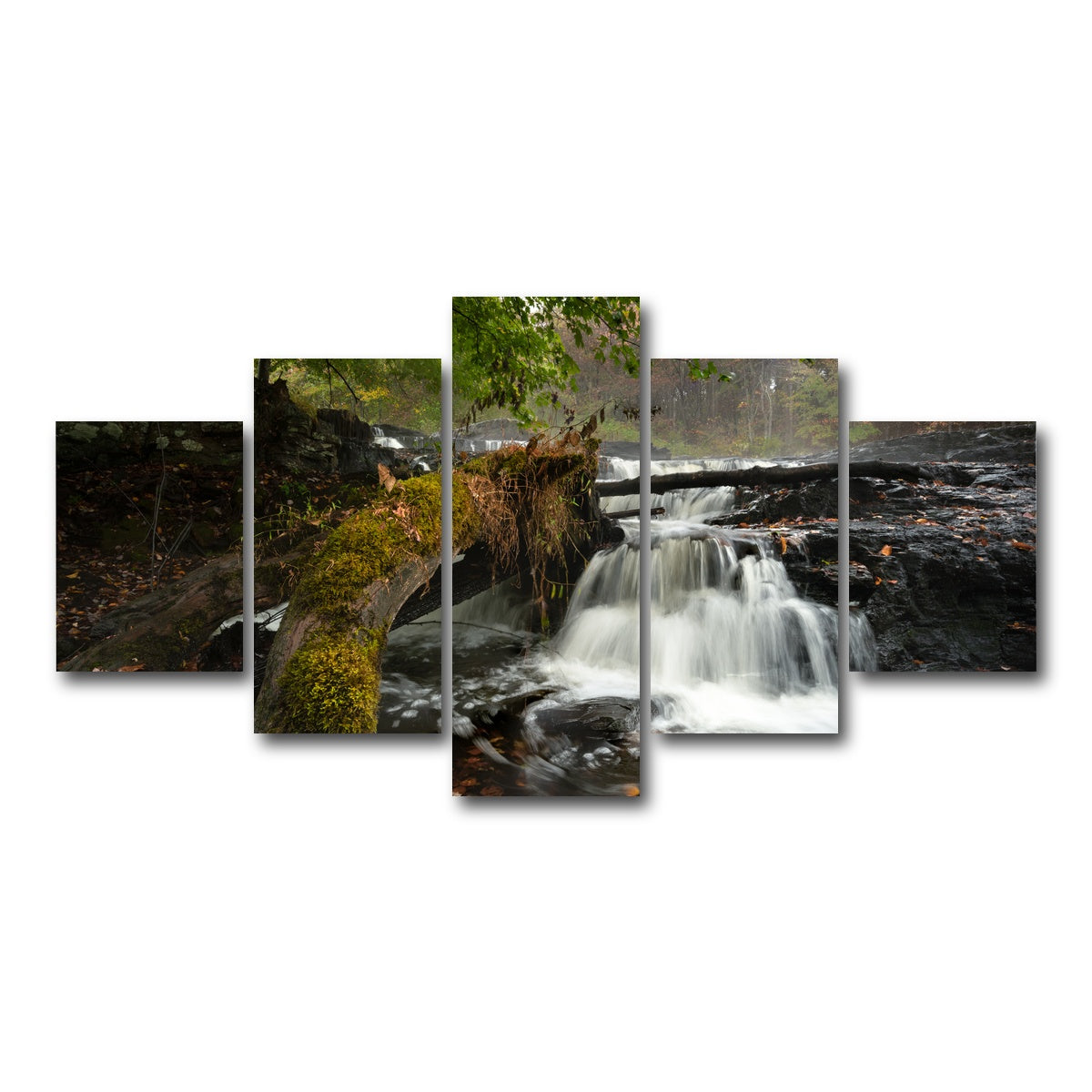 AUTO-MOCKUP WHITE | Mossy Limbs | 5 Piece | Gallery Wrap Canvas | group=5_short