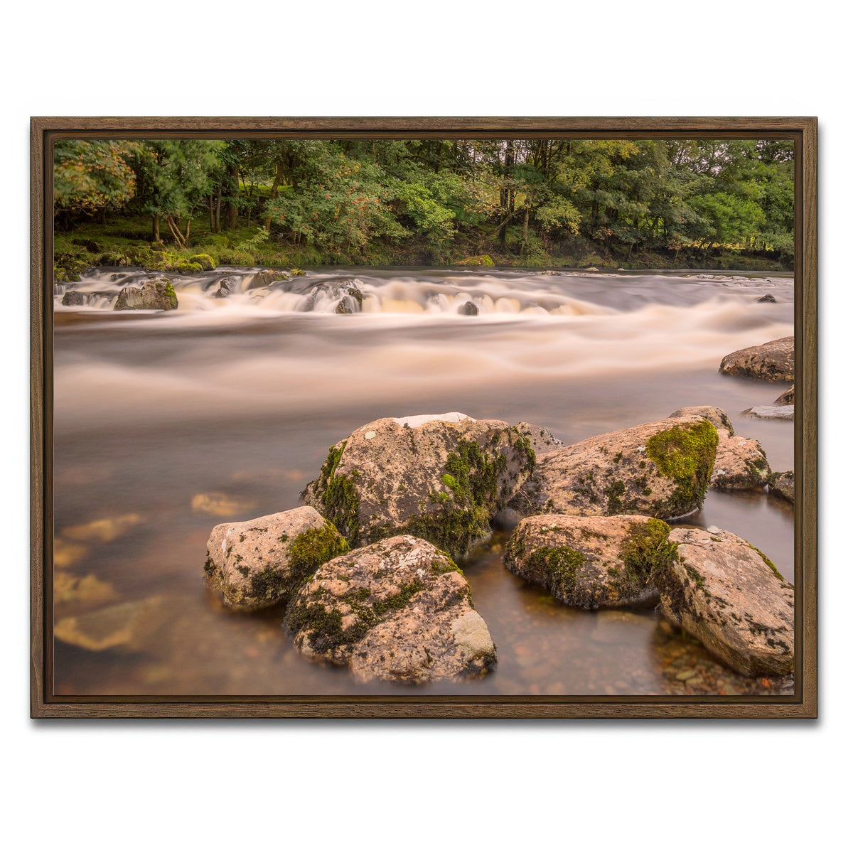 AUTO-MOCKUP WHITE | Mossy Rocks | 1 Piece | Walnut Framed Canvas | group=4x3