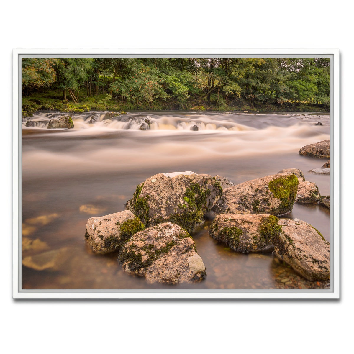AUTO-MOCKUP WHITE | Mossy Rocks | 1 Piece | White Framed Canvas | group=4x3