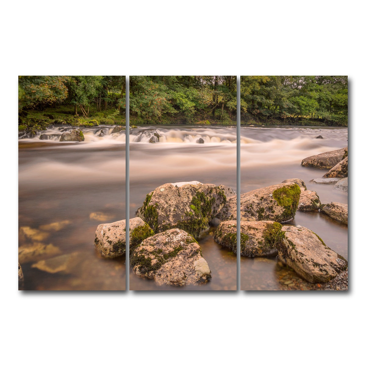 AUTO-MOCKUP WHITE | Mossy Rocks | 3 Piece | Gallery Wrap Canvas | group=12x24