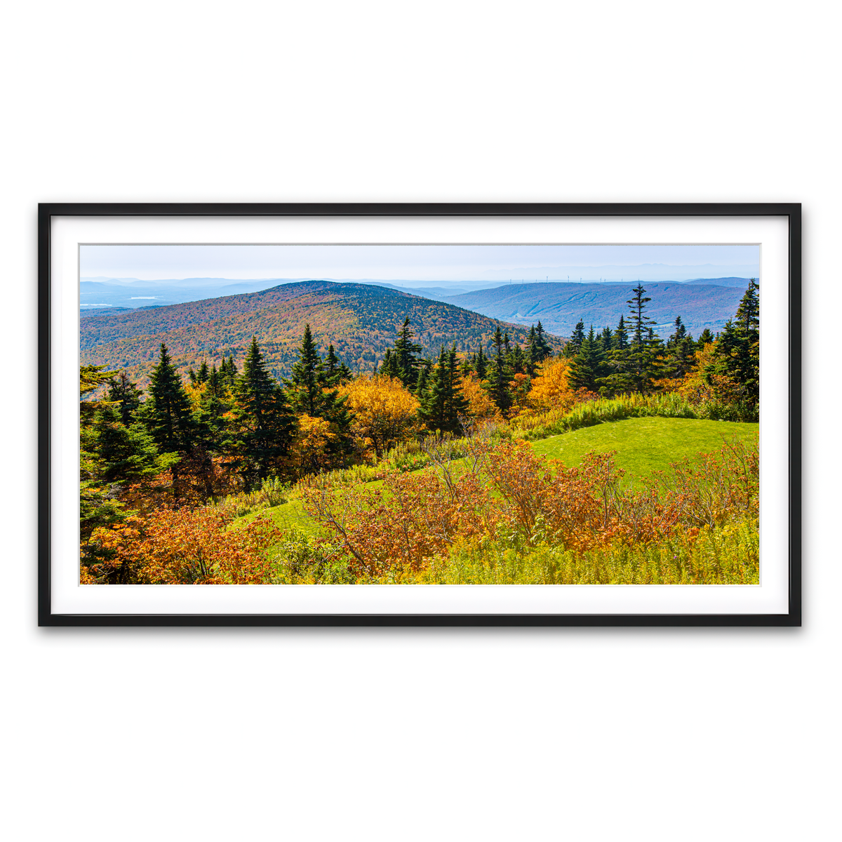 Framed Print 2x1 Black