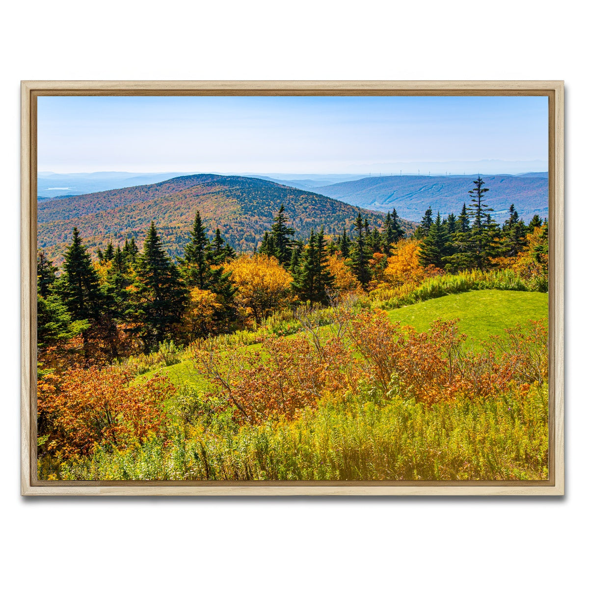 AUTO-MOCKUP WHITE | Mount Greylock Summit | 1 Piece | Natural Framed Canvas | group=4x3