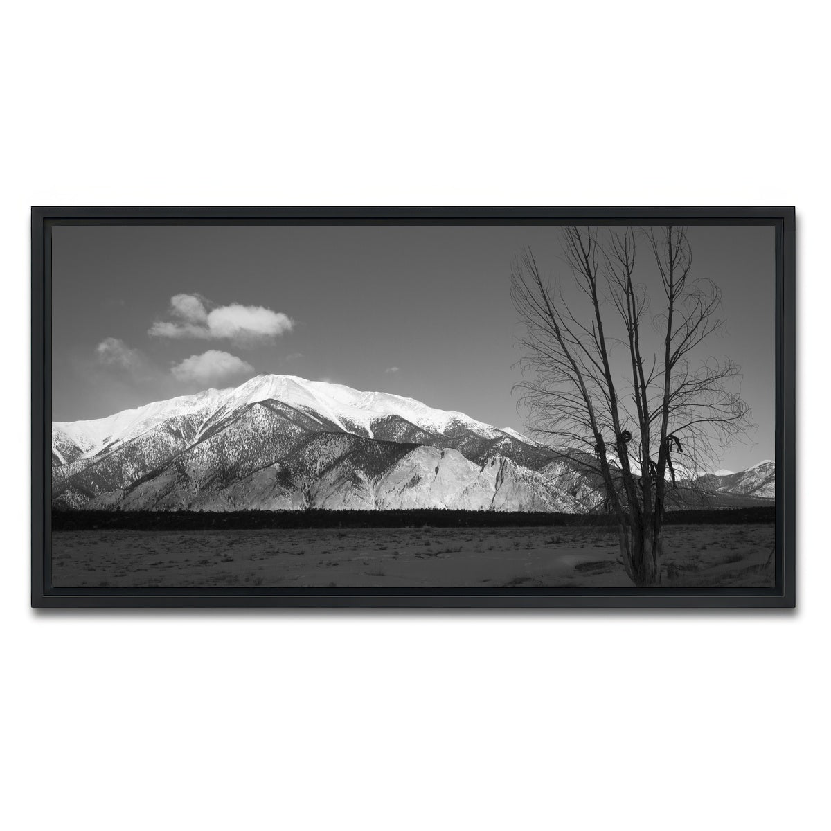 AUTO-MOCKUP WHITE | Mount Princeton Black and White | 1 Piece | Black Framed Canvas | group=2x1