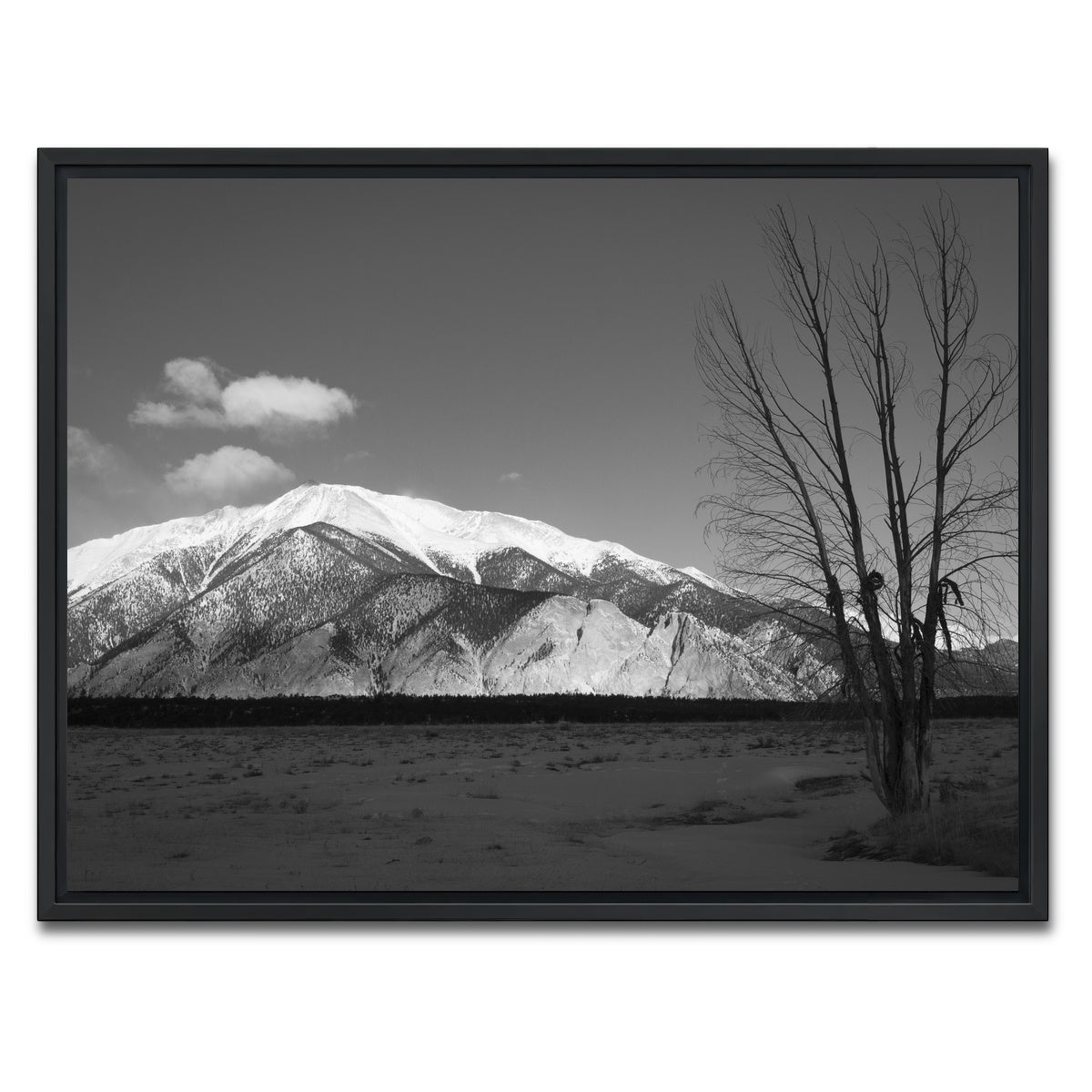 AUTO-MOCKUP WHITE | Mount Princeton Black and White | 1 Piece | Black Framed Canvas | group=4x3