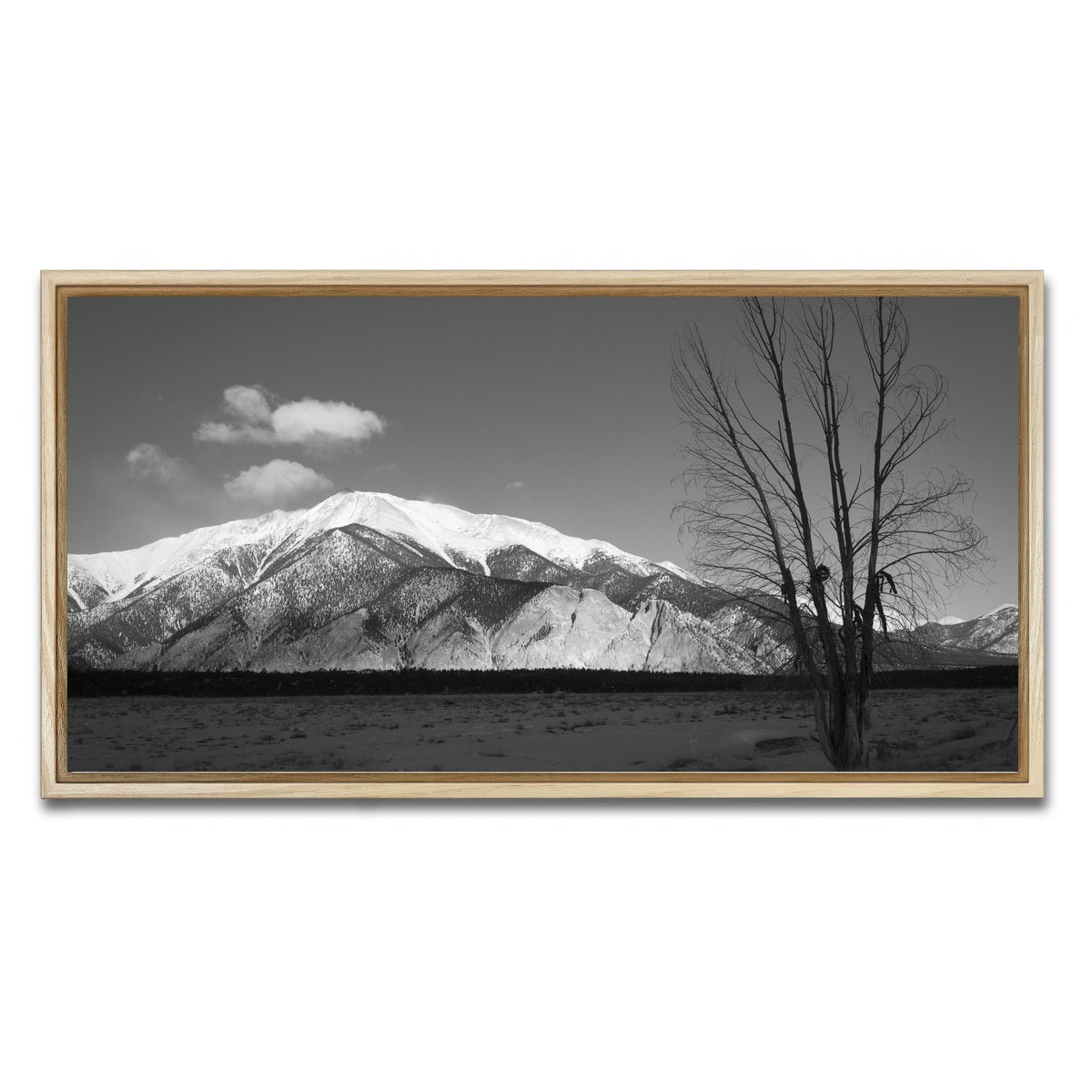 AUTO-MOCKUP WHITE | Mount Princeton Black and White | 1 Piece | Natural Framed Canvas | group=2x1