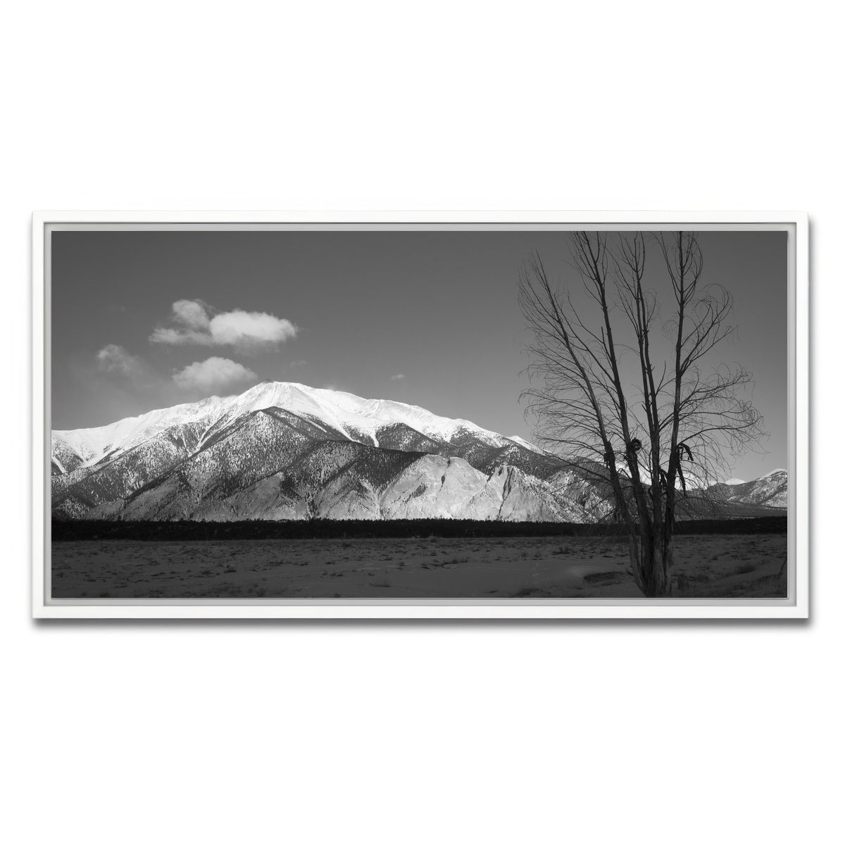 AUTO-MOCKUP WHITE | Mount Princeton Black and White | 1 Piece | White Framed Canvas | group=2x1