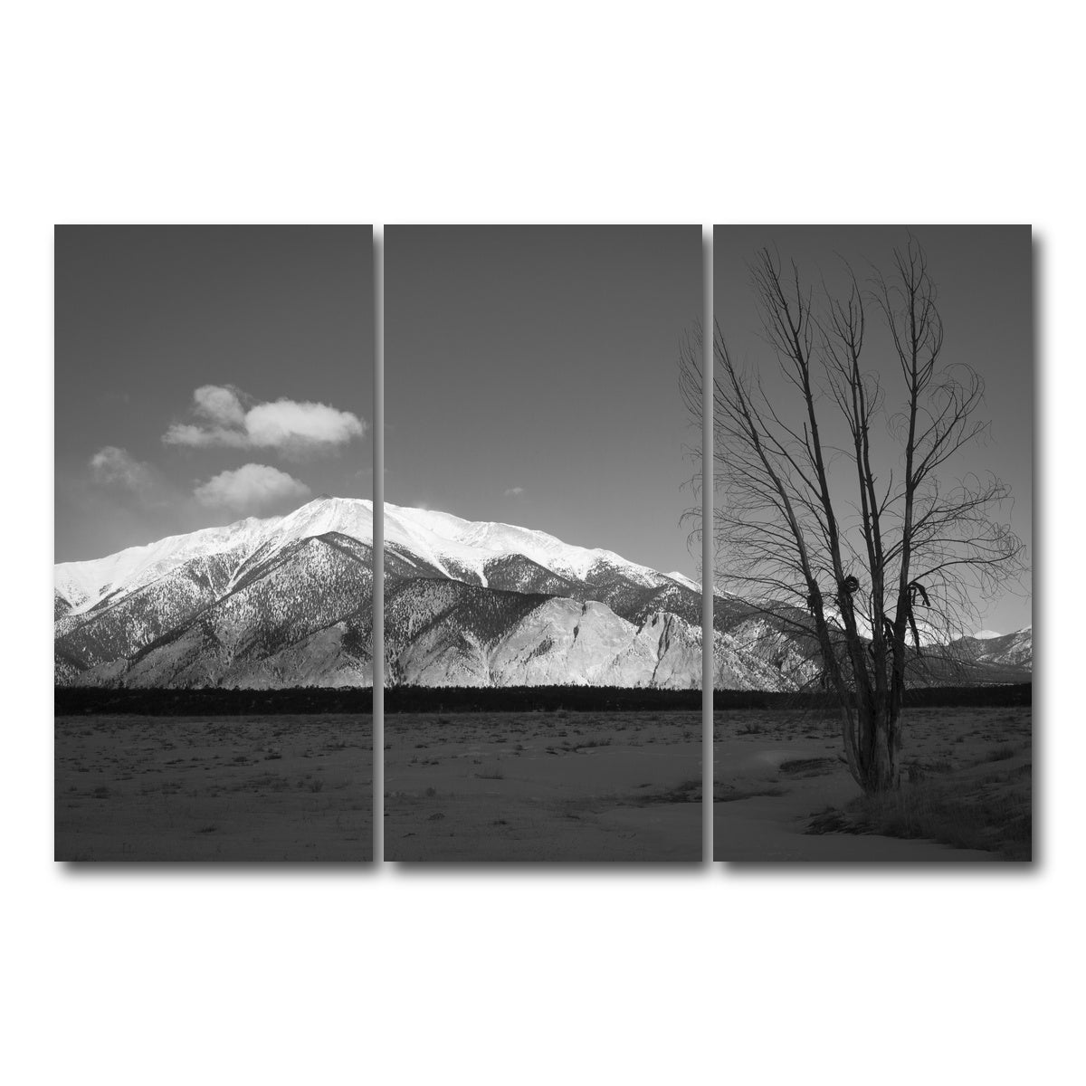 AUTO-MOCKUP WHITE | Mount Princeton Black and White | 3 Piece | Gallery Wrap Canvas | group=12x24