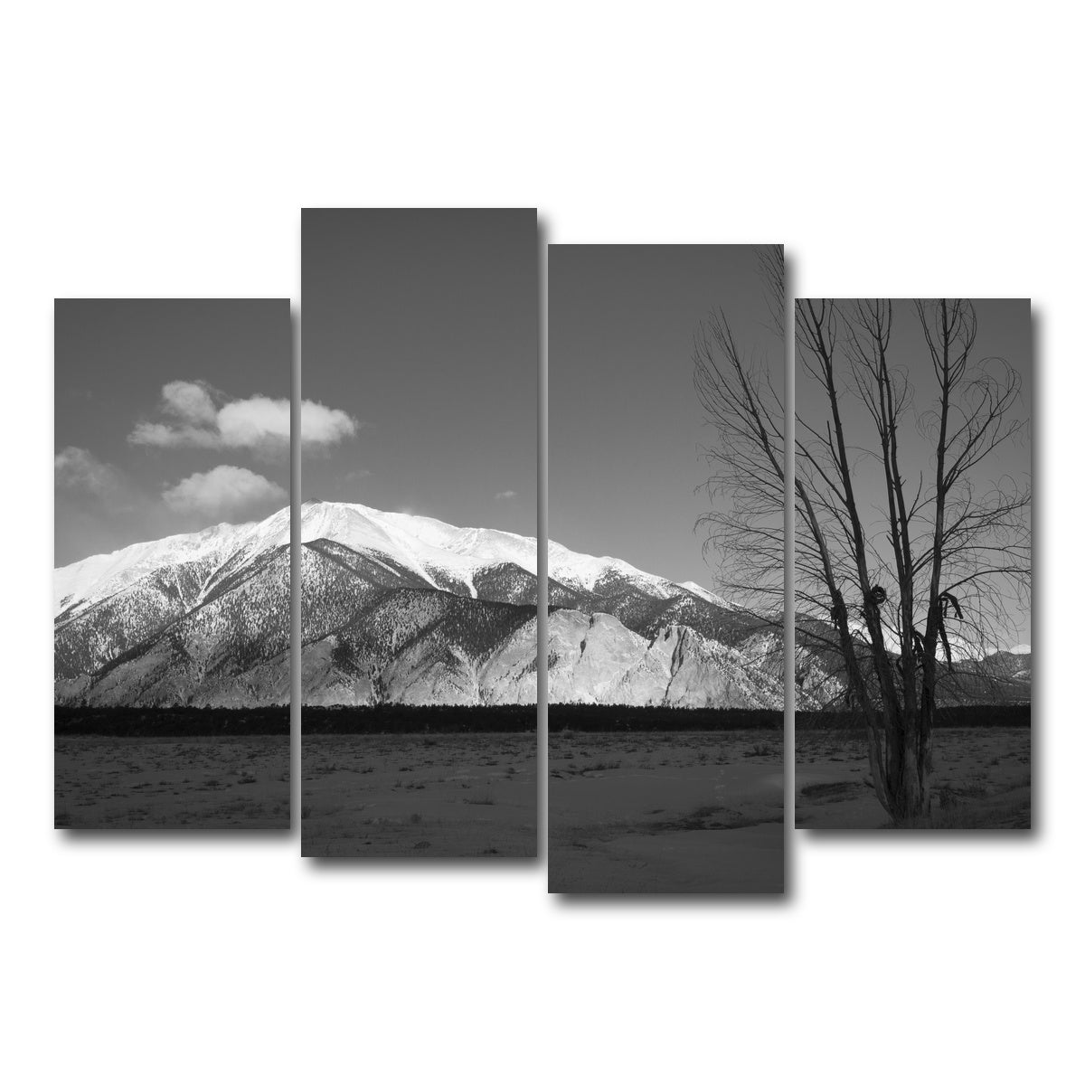 AUTO-MOCKUP WHITE | Mount Princeton Black and White | 4 Piece | Gallery Wrap Canvas | group=4_normal
