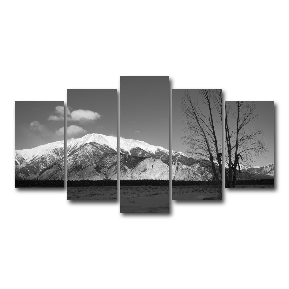AUTO-MOCKUP WHITE | Mount Princeton Black and White | 5 Piece | Gallery Wrap Canvas | group=5_normal