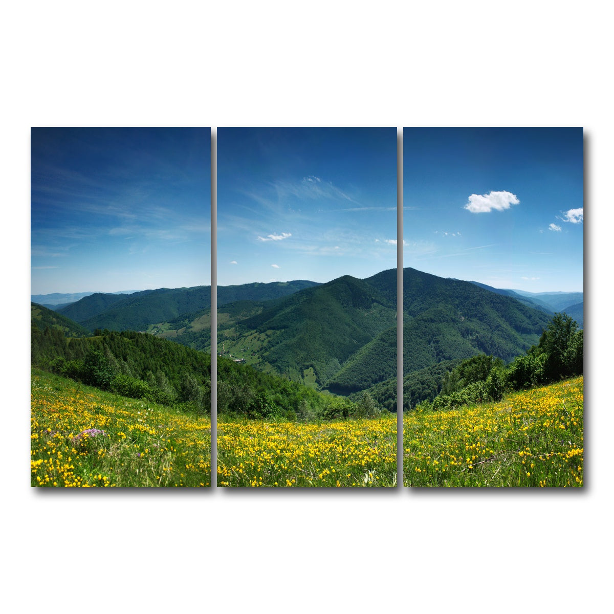 AUTO-MOCKUP WHITE | Mountain landscape panorama | 3 Piece | Gallery Wrap Canvas | group=12x24