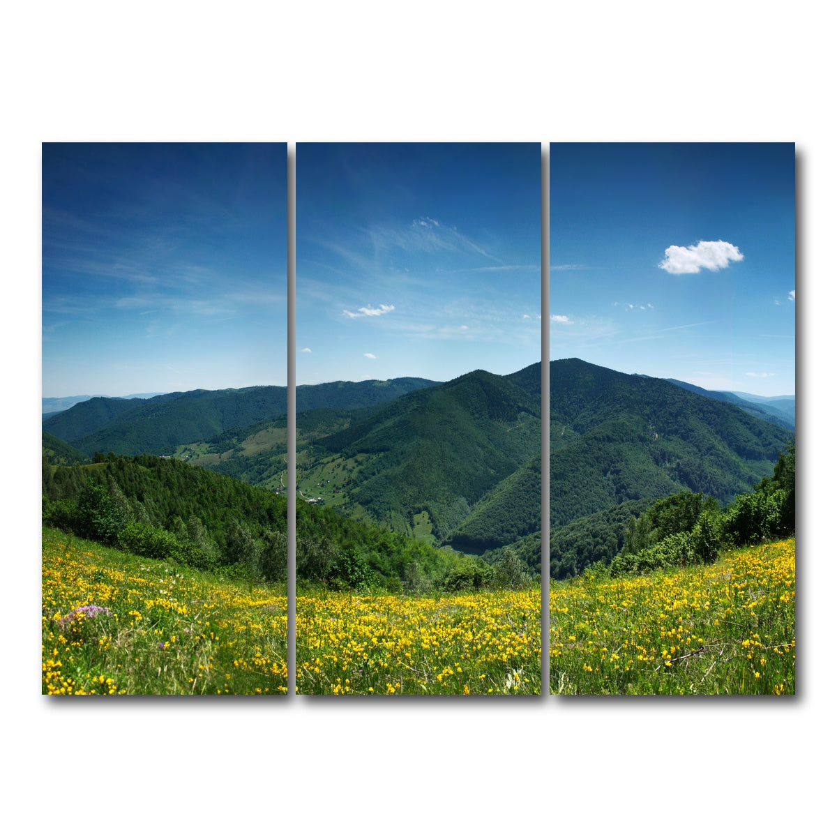 AUTO-MOCKUP WHITE | Mountain landscape panorama | 3 Piece | Gallery Wrap Canvas | group=8x18