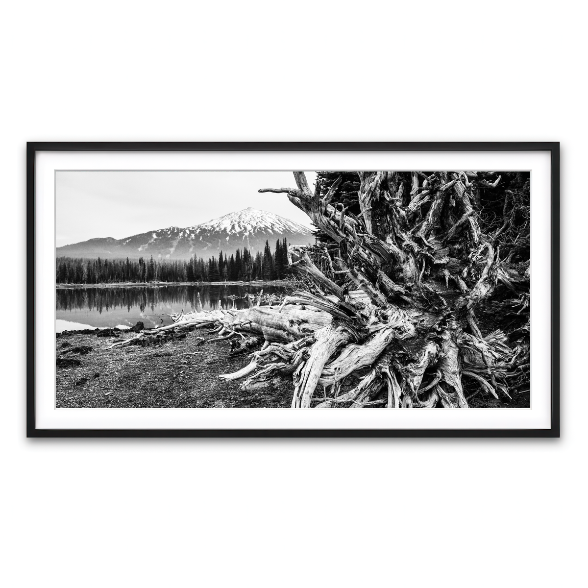 Framed Print 2x1 Black